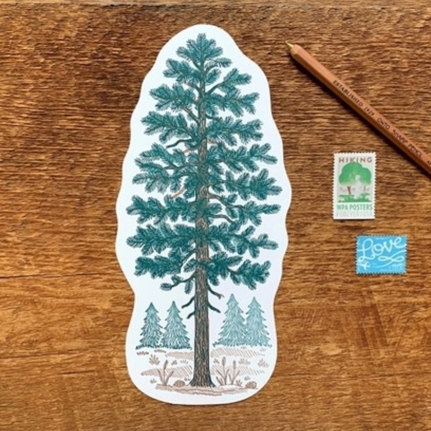 Postcards Pine Tree Die Cut Postcard