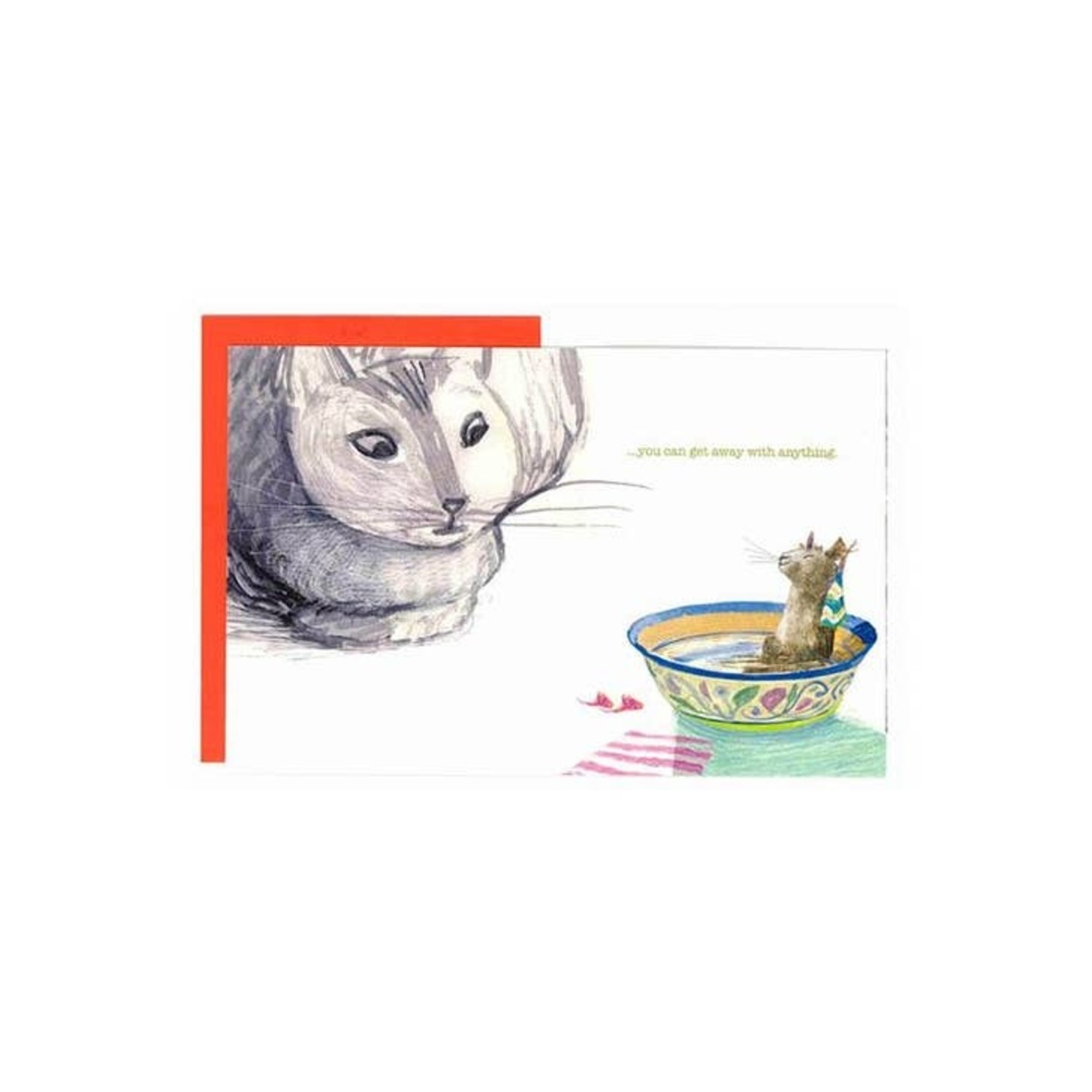 Greeting Cards - Birthday Spa Mouse Birthday