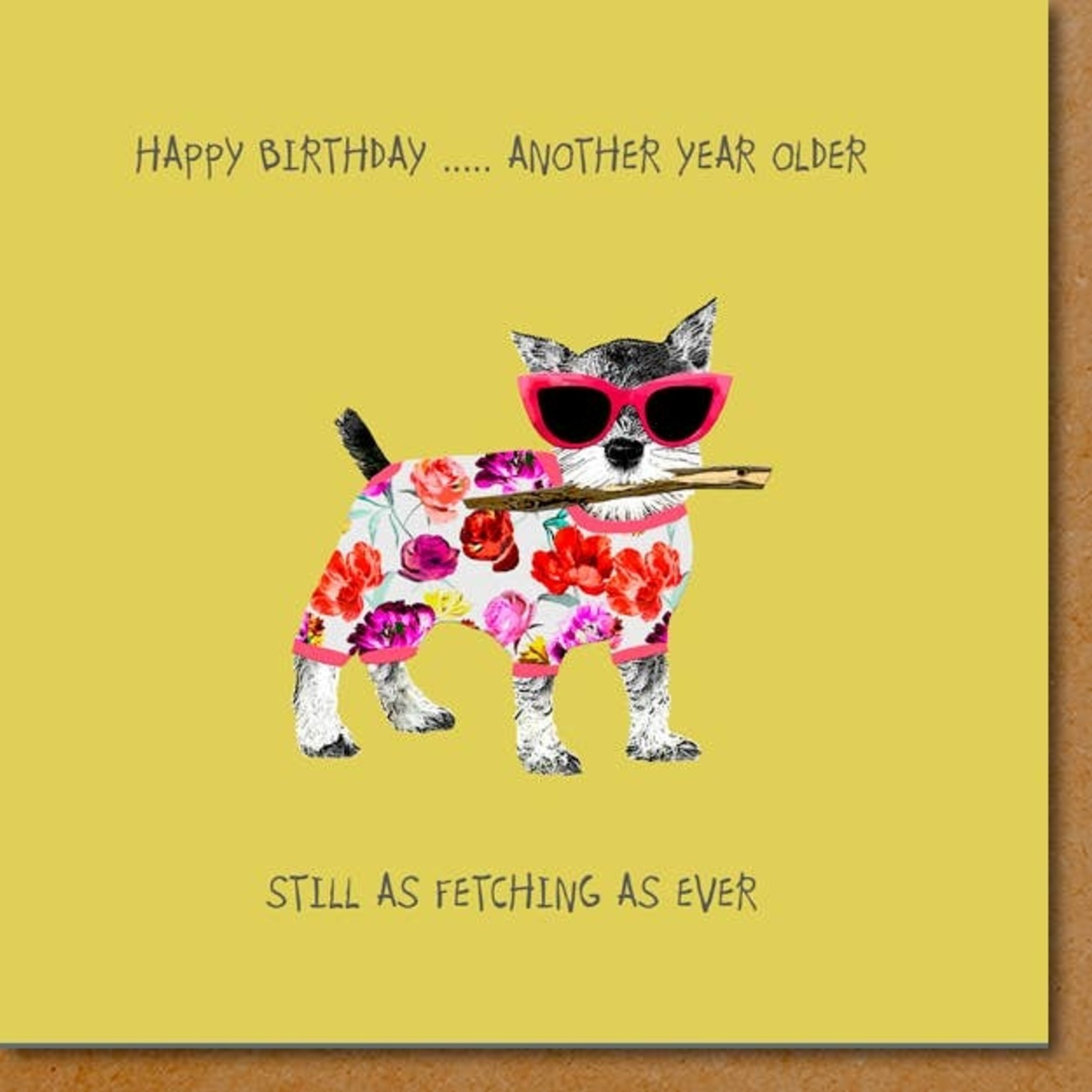 Greeting Cards - Birthday Still As Fetching As Ever Birthday