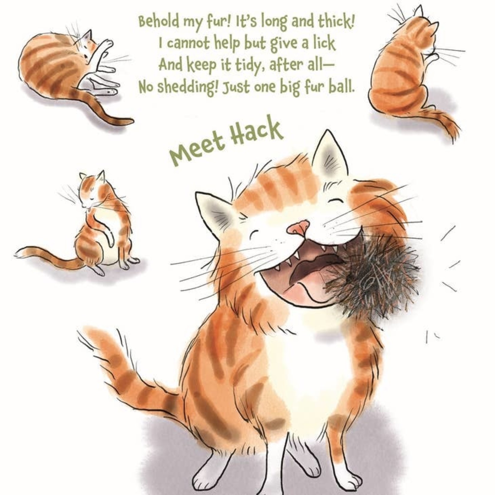 Tails From The Animal Shelter - Budd + Finn Tails From The Animal Shelter - Budd + Finn