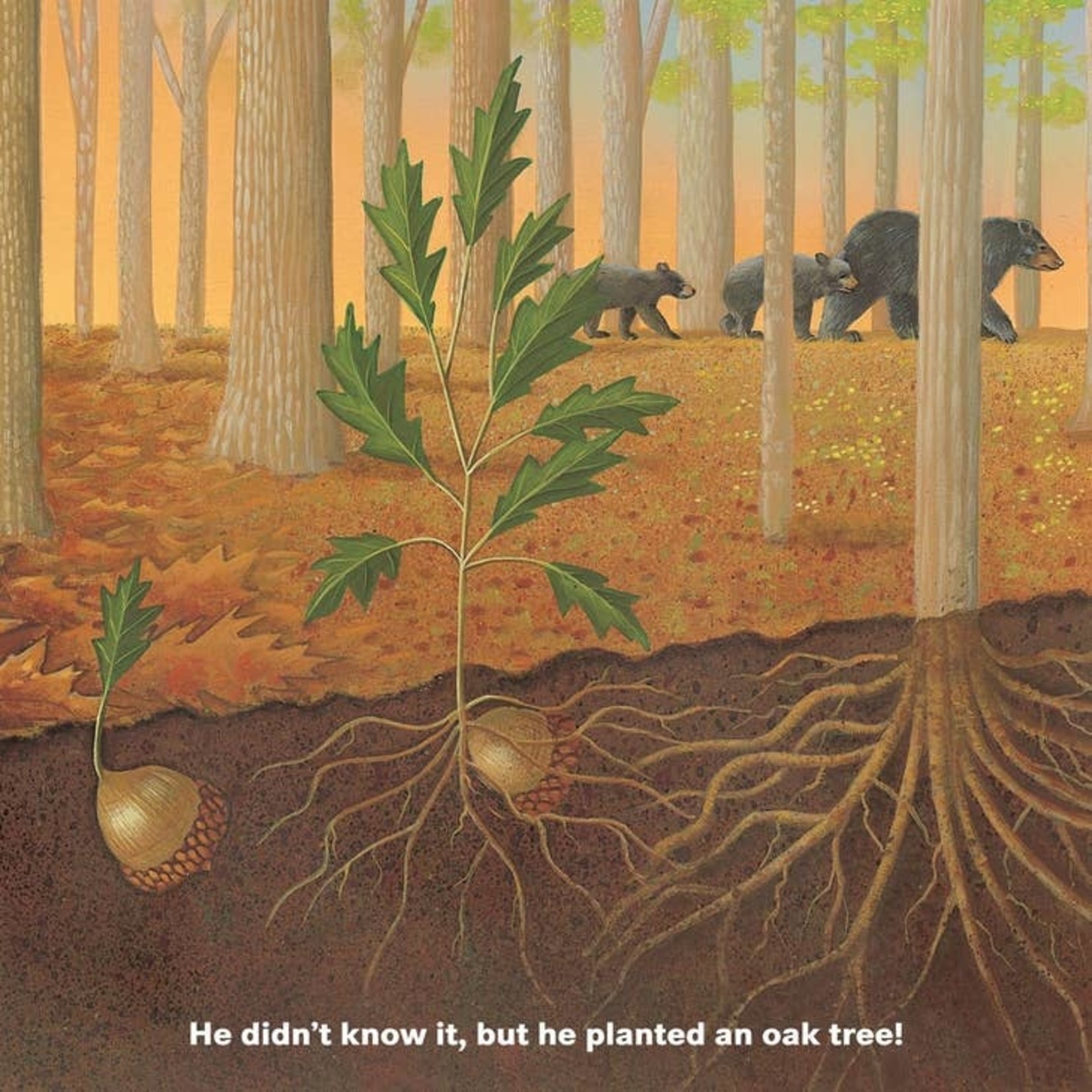 Books - Kids Who Will Plant A Tree?