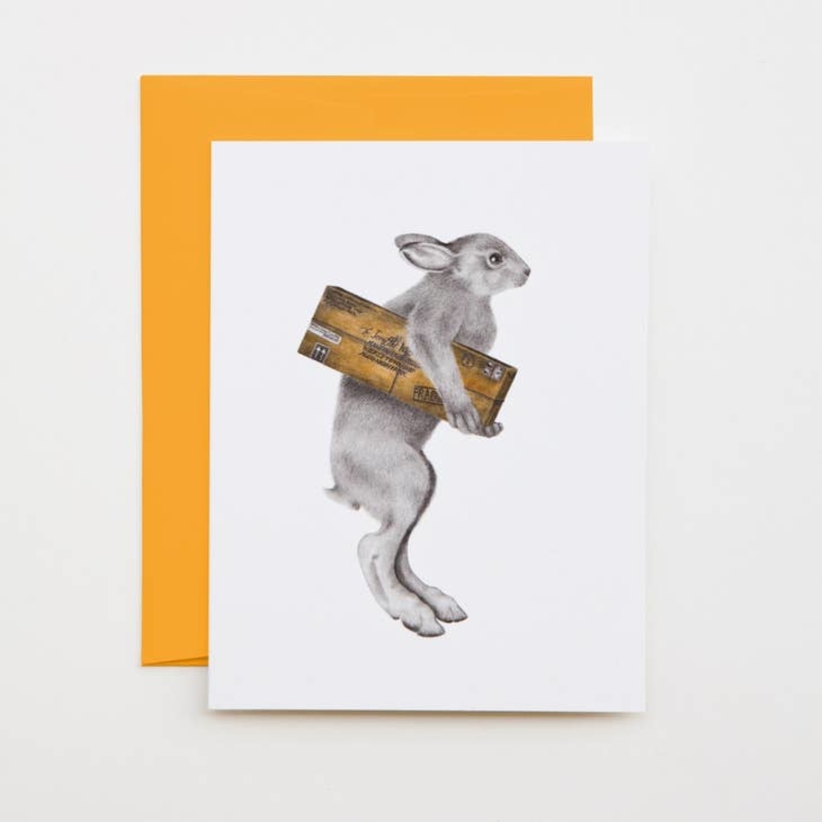 Greeting Cards - General Special Delivery Hare