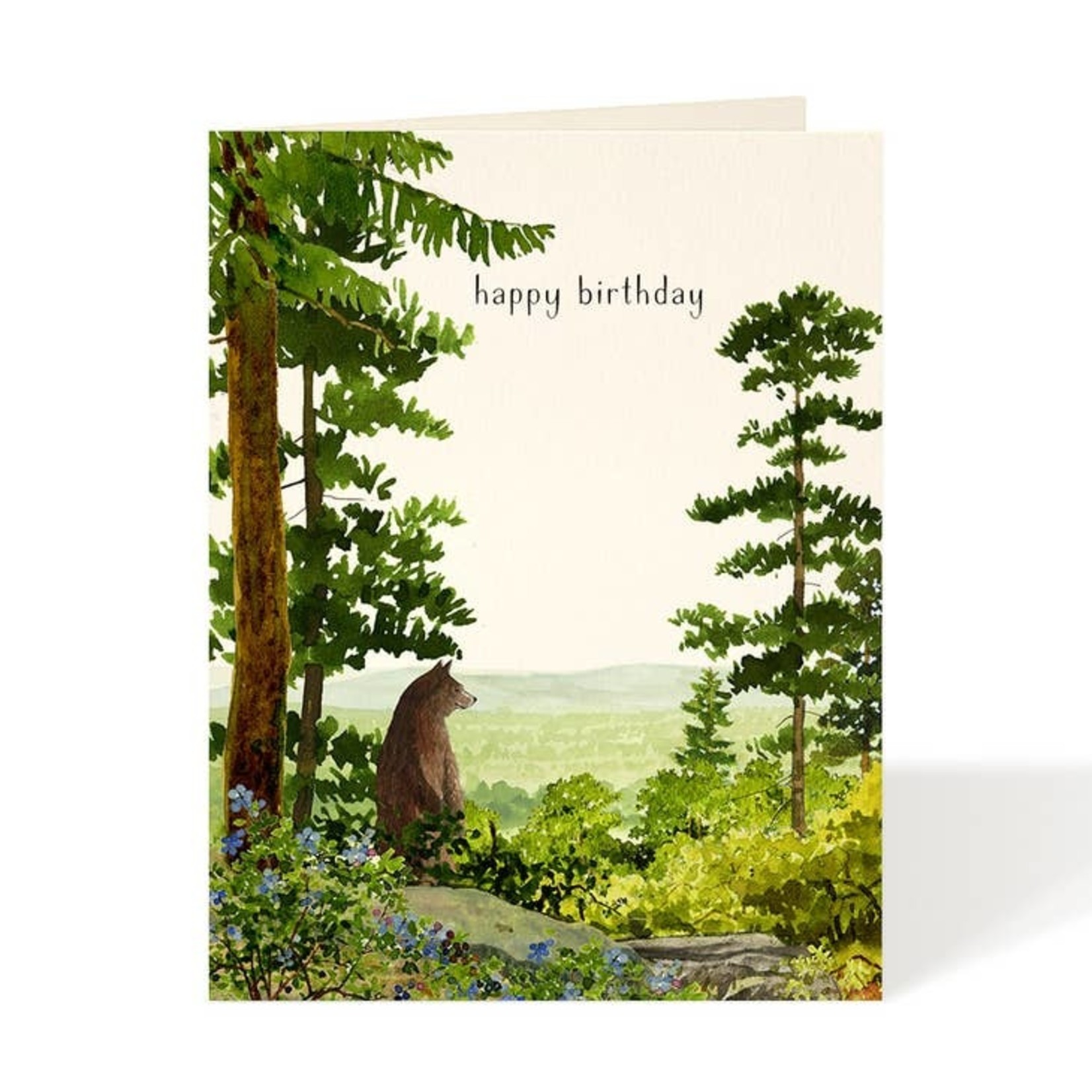 Greeting Cards - Birthday Bear Vista Birthday