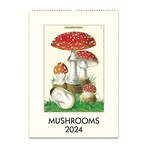 Calendars 2024 Mushrooms Wall Calendar