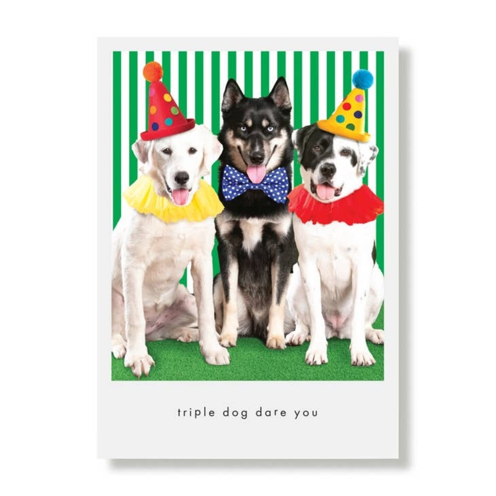 Greeting Cards - Birthday Triple Dog Dare You Birthday