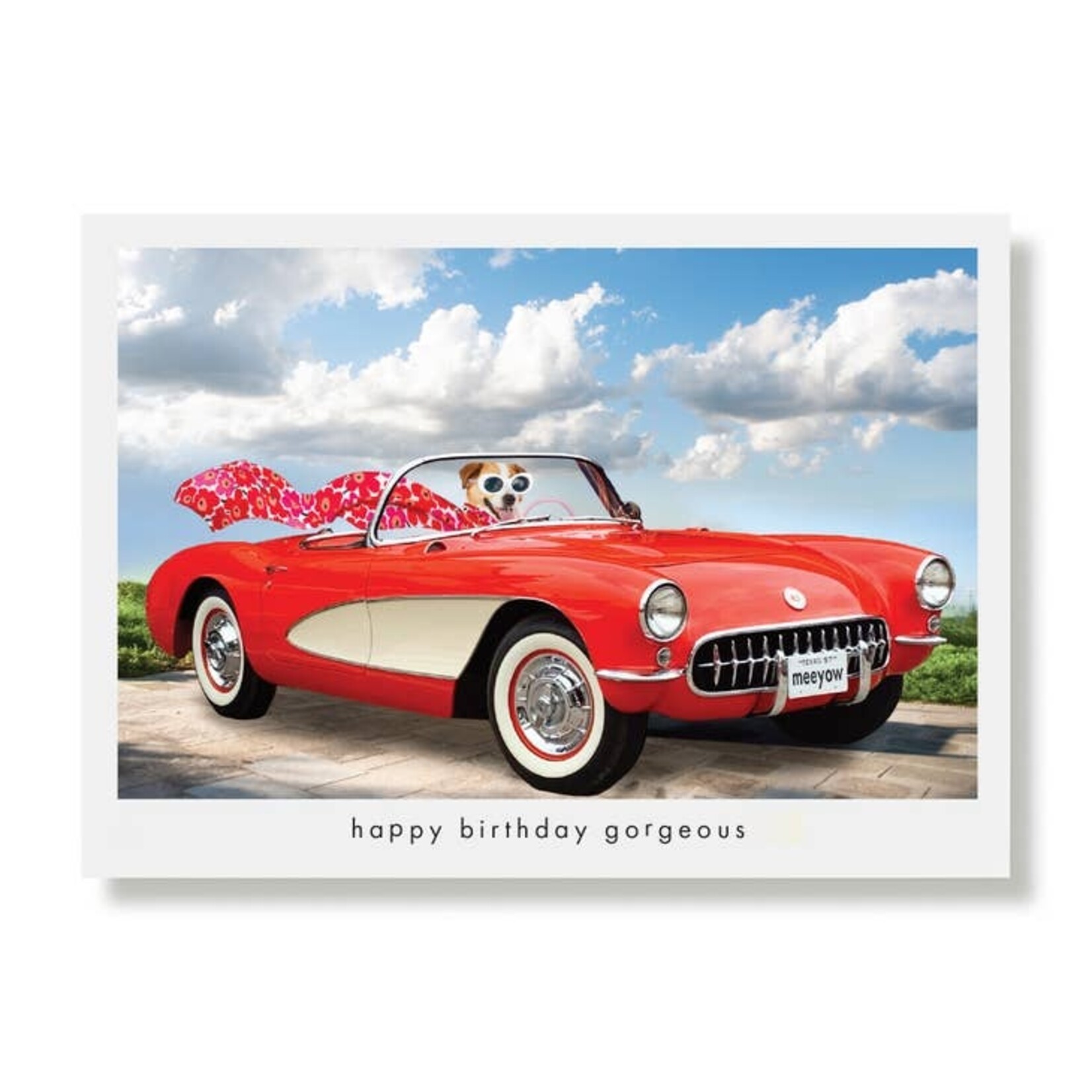 Greeting Cards - Birthday Happy Birthday Gorgeous