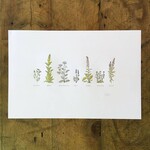 Letterpress Wildflowers 12x18 Print