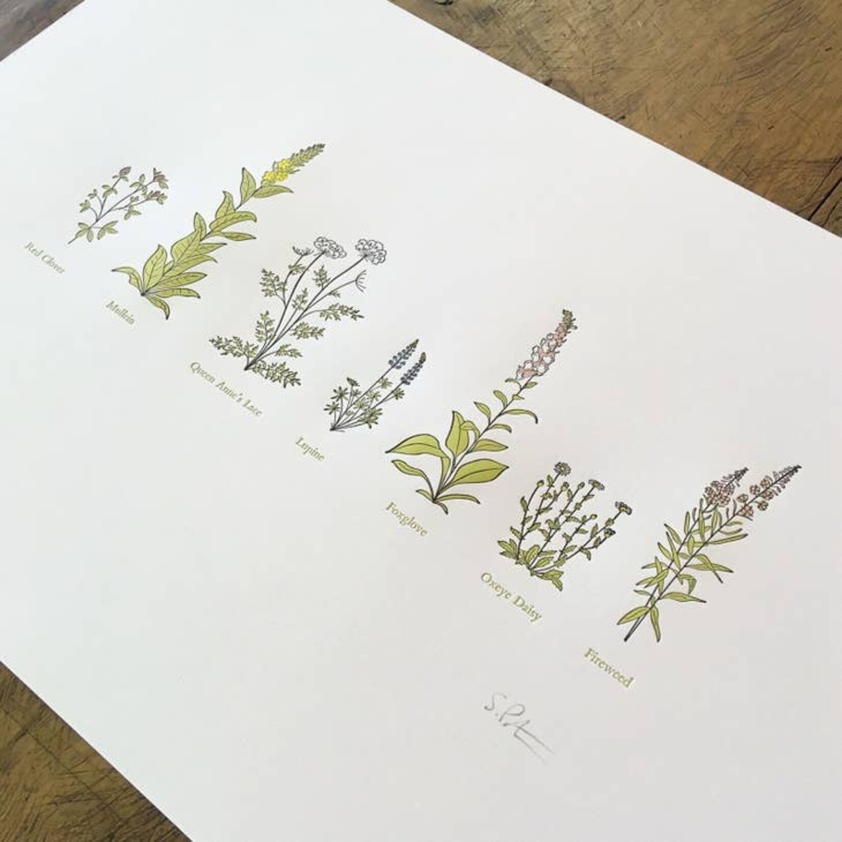 Letterpress Wildflowers 12x18 Print
