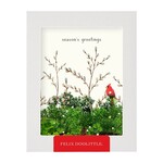 Greeting Cards - Boxed Cardinal & Evergreen Box of 8