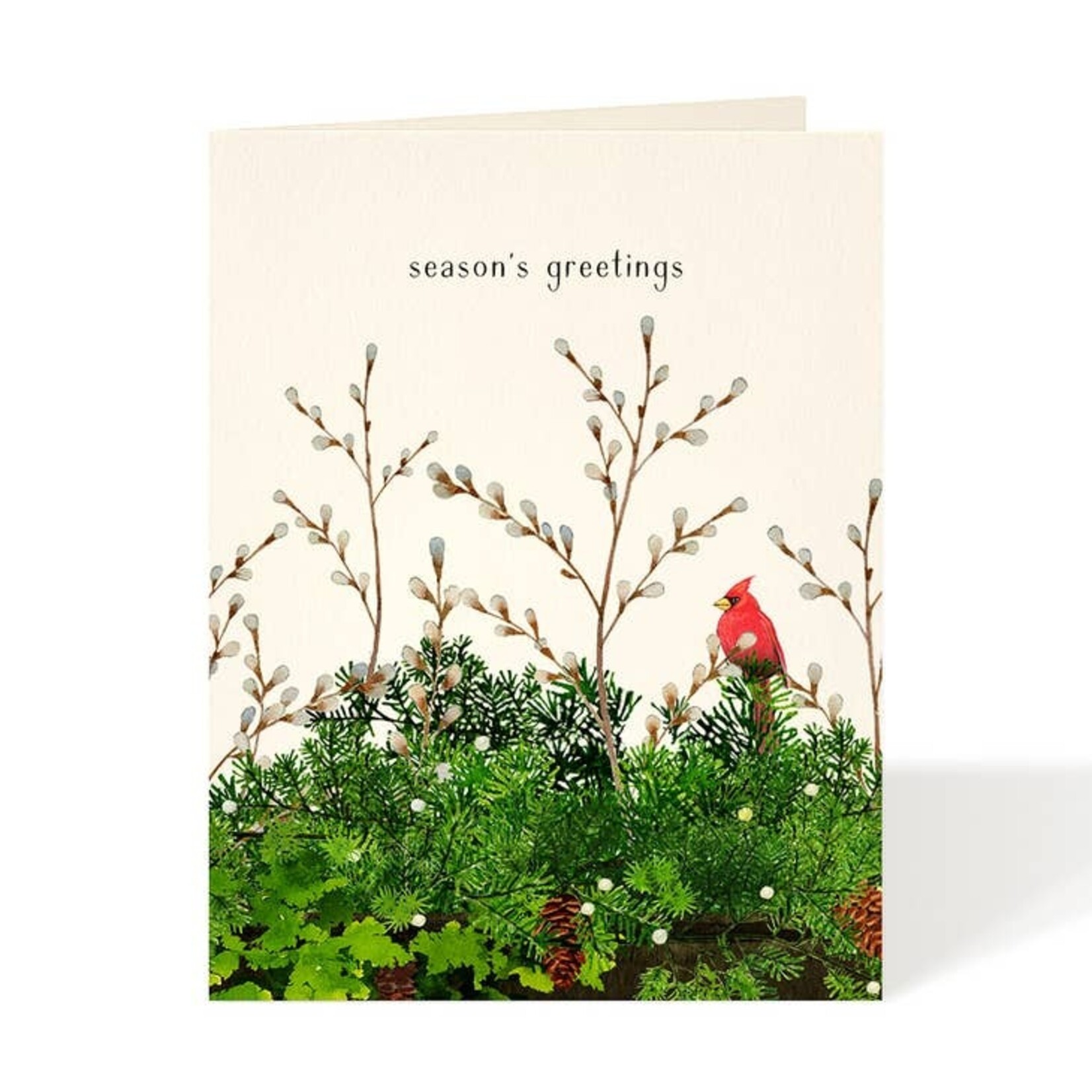 Greeting Cards - Boxed Cardinal & Evergreen Box of 8