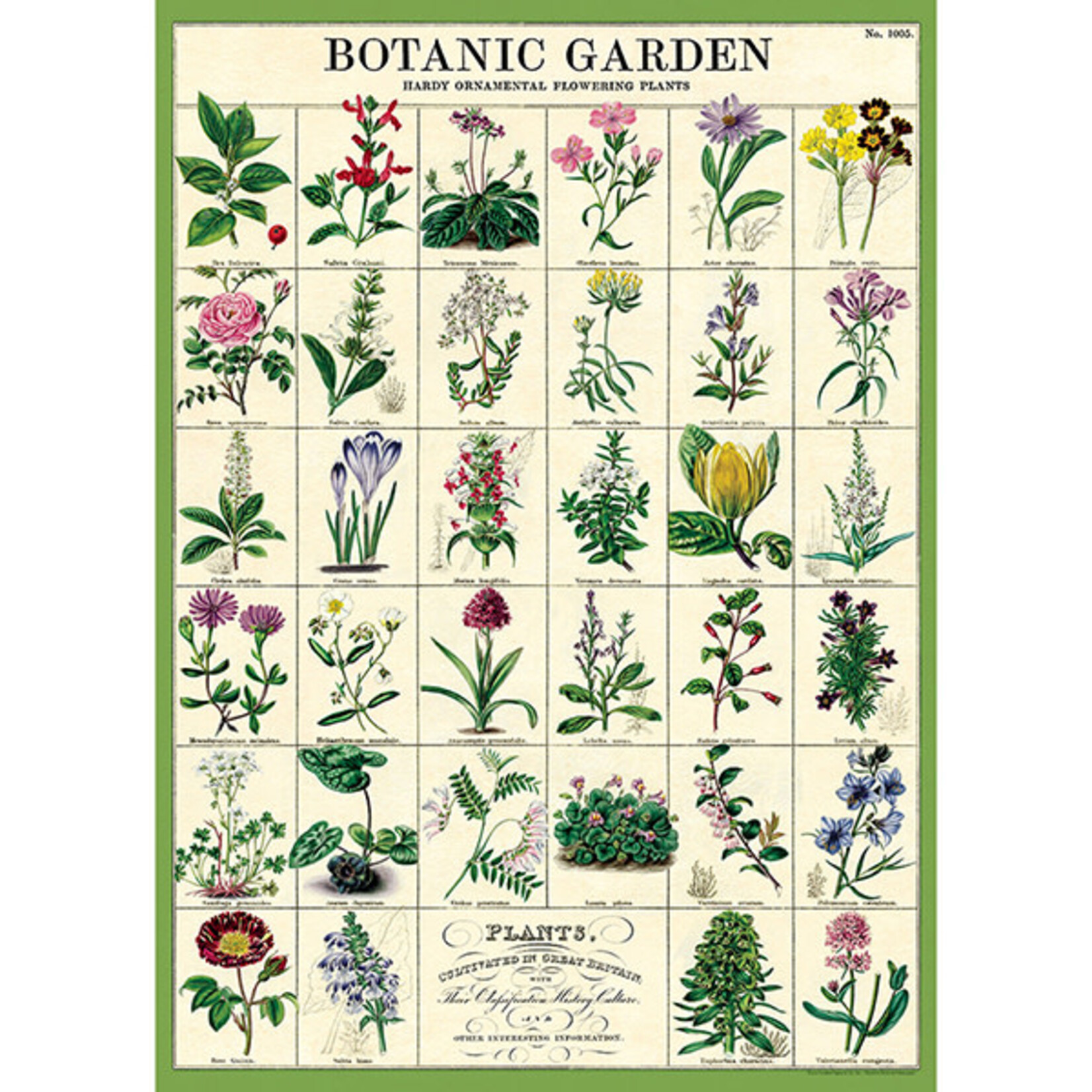 Gift Wrap Botanic Garden Wrap