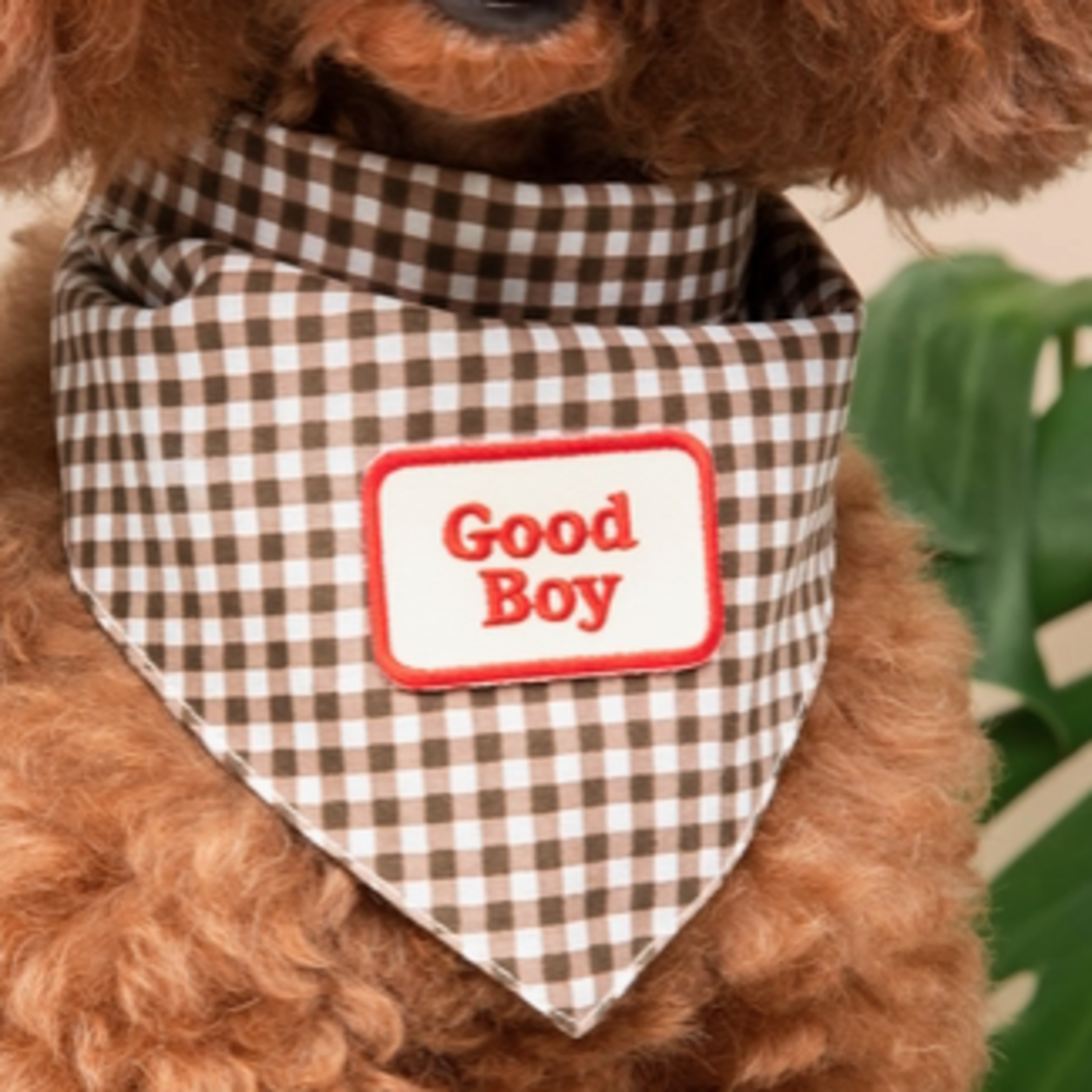 Patches Good Boy Patch