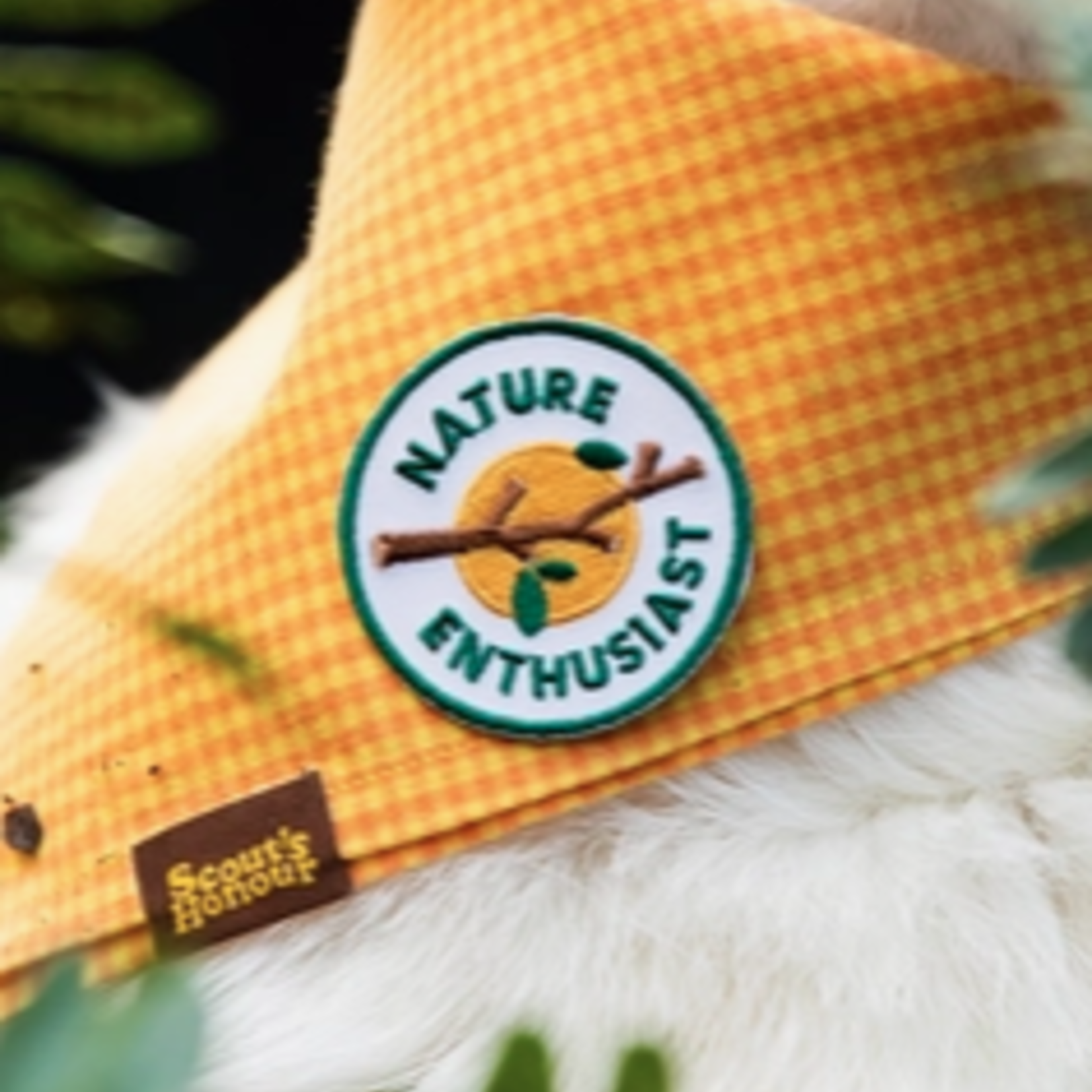 Patches Nature Enthusiast Patch