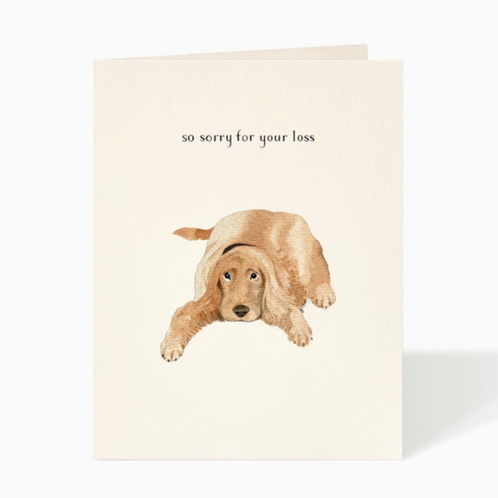 Greeting Cards - Pet Sympathy Oh No Sympathy