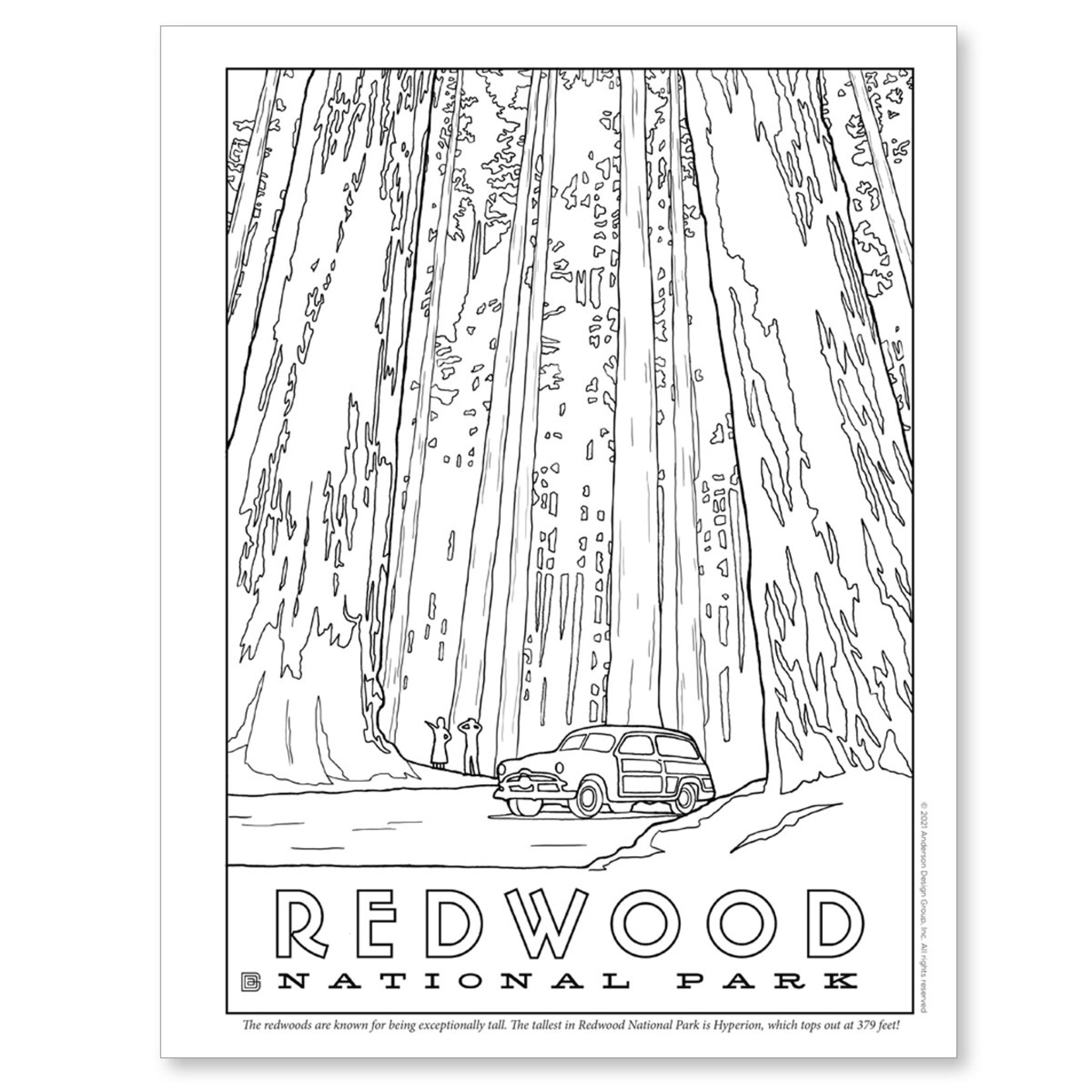 Redwood Coloring Pages 2025 Redwood Coloring Pages 2025