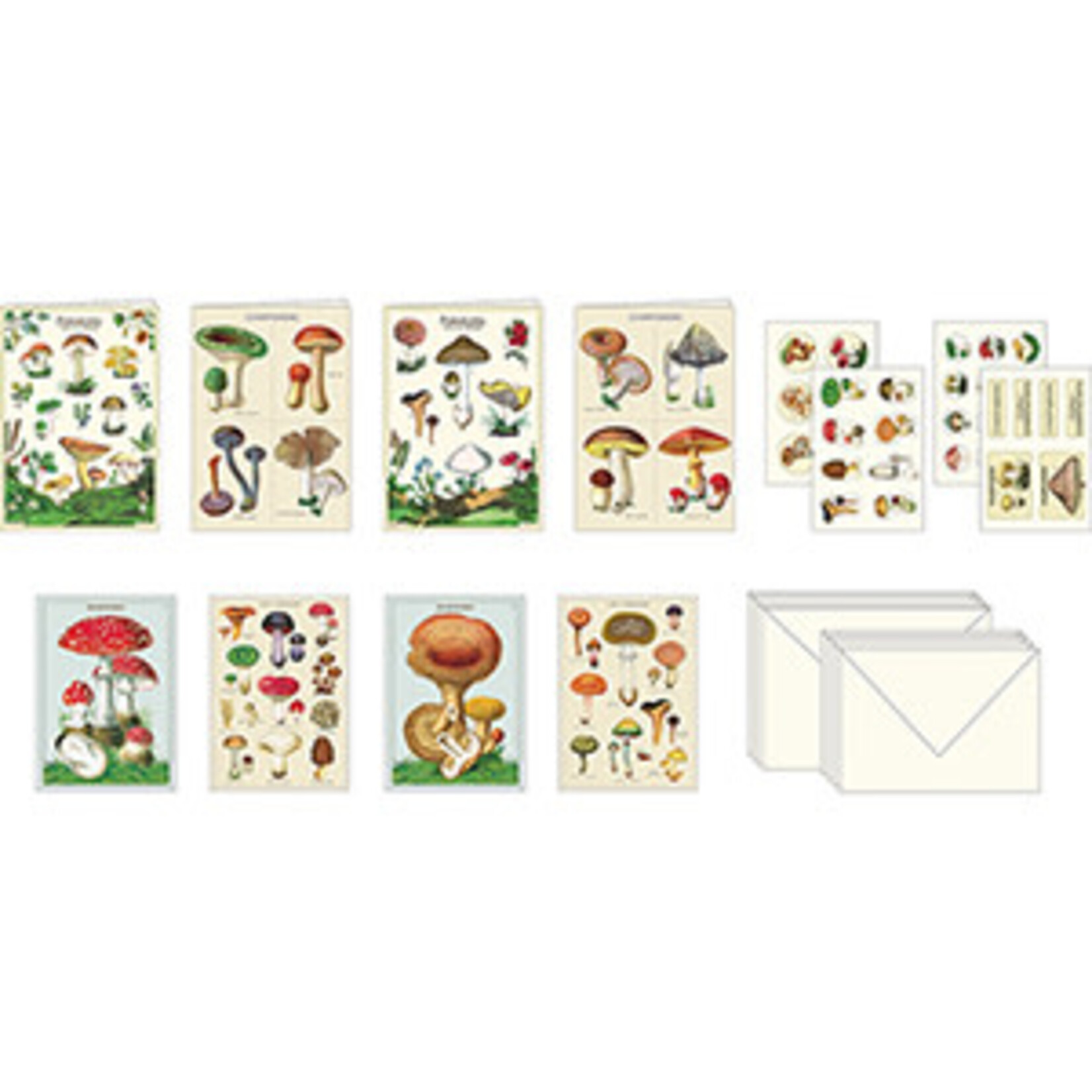 Notecards Boxed Mushrooms Stationery Set