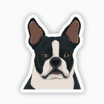 Stickers Boston Terrier Black
