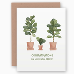 Greeting Cards - Baby New Sprout Baby Congrats