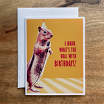 Greeting Cards - Birthday What's The Deal With Birthdays? Squirrel