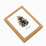 Greeting Cards - Boxed Pinecone Thank You Box of 6