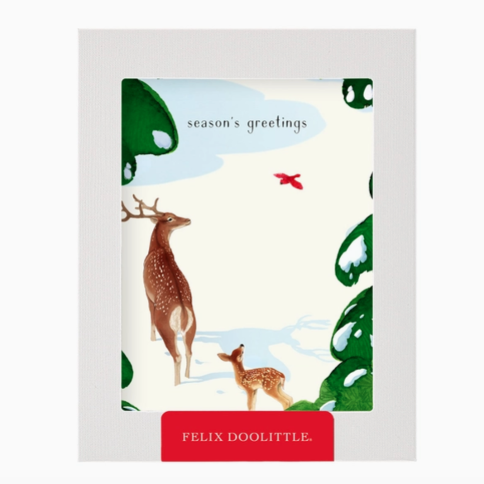 Greeting Cards - Boxed Woodland Neighbors Box of 8