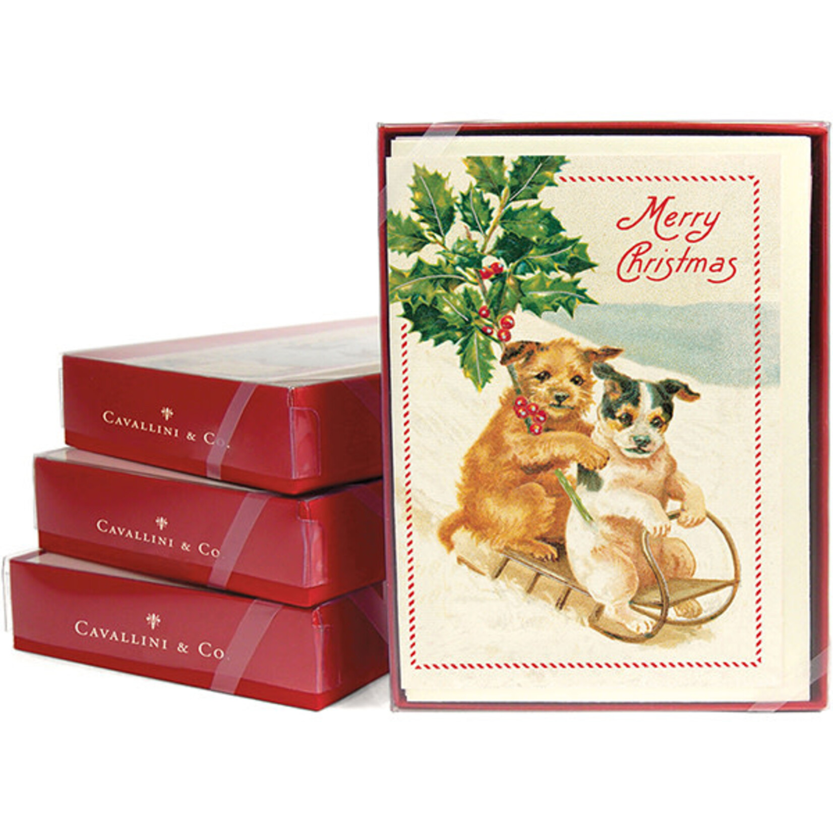 Greeting Cards - Boxed Christmas Dogs Box of 10