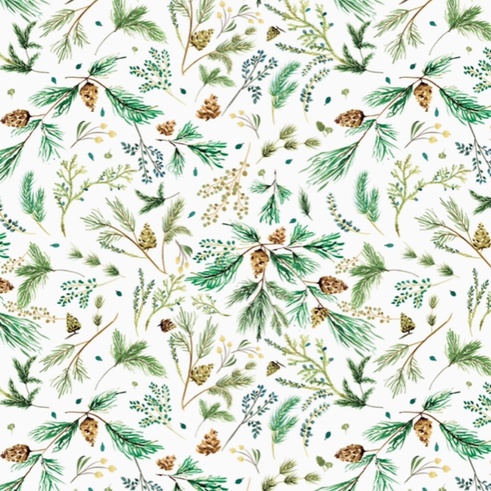 Gift Wrap - Rolls Pine Vines Gift Wrap 3/Roll