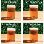 Acrylic Drinkware Pacific Northwest Acrylic Set of 4
