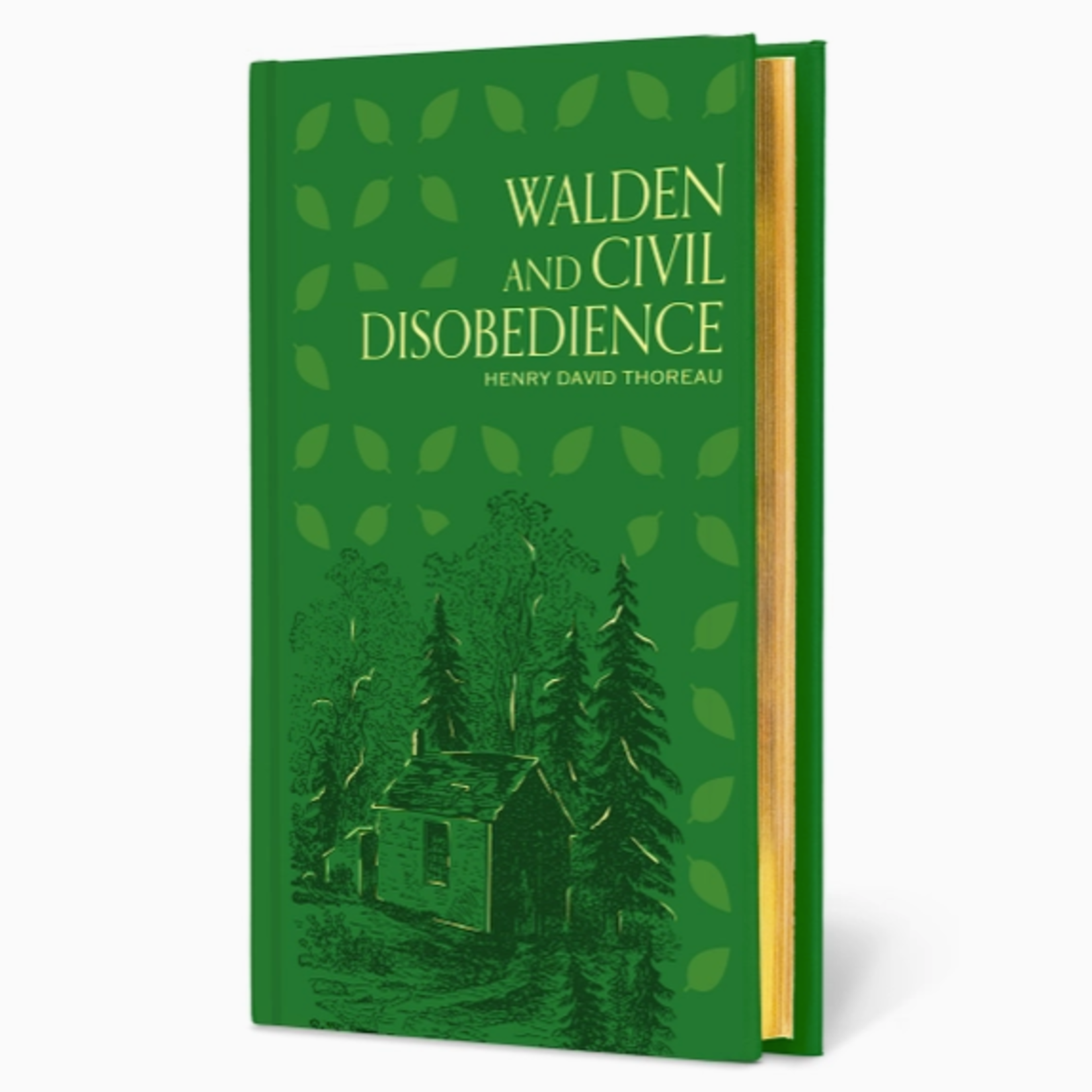 Books - Lifestyle Walden And Civil Disobedience By Thoreau