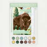 DIY Kits Yellowstone Paint-By-Number Kit