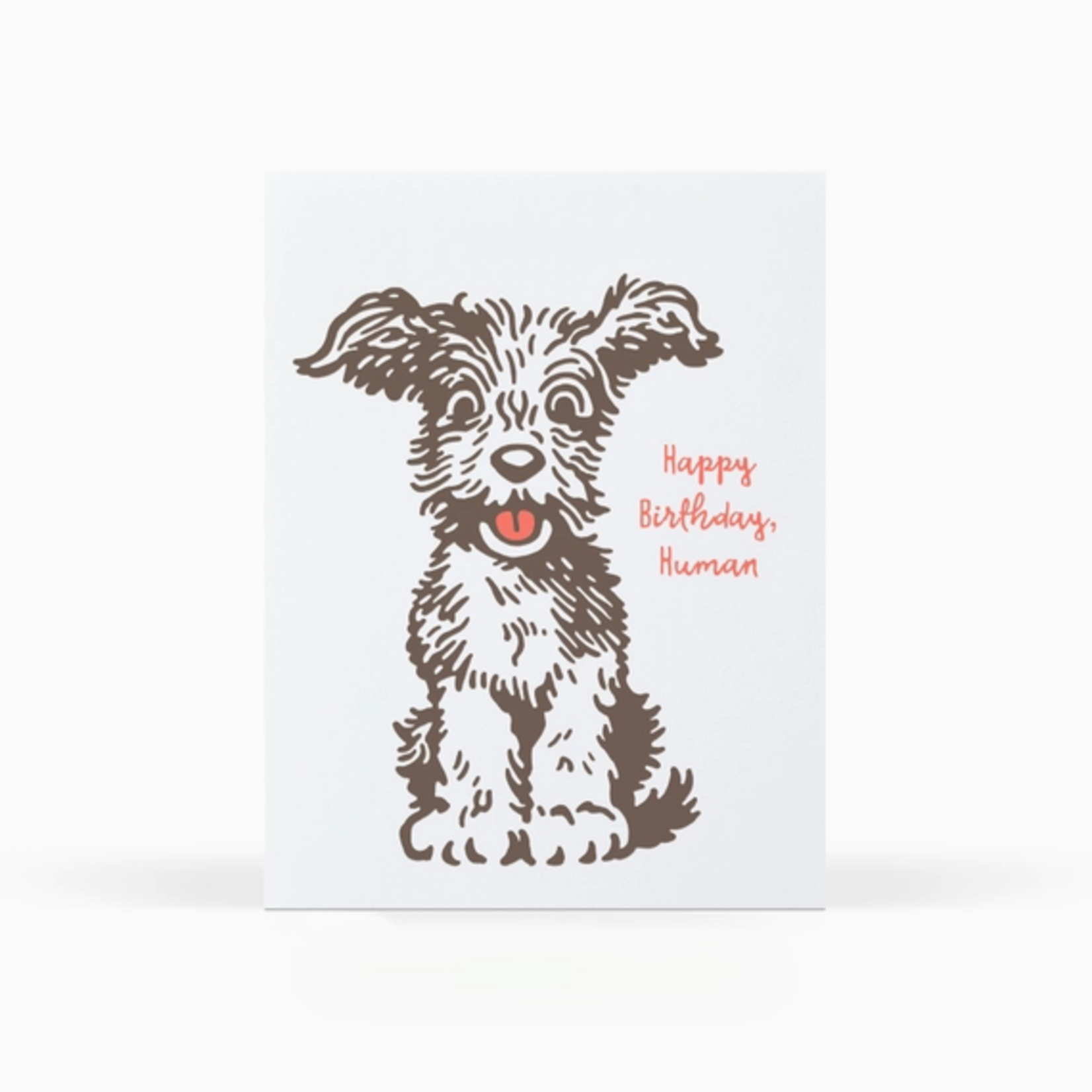 Greeting Cards - Birthday Happy Birthday Human Doggie