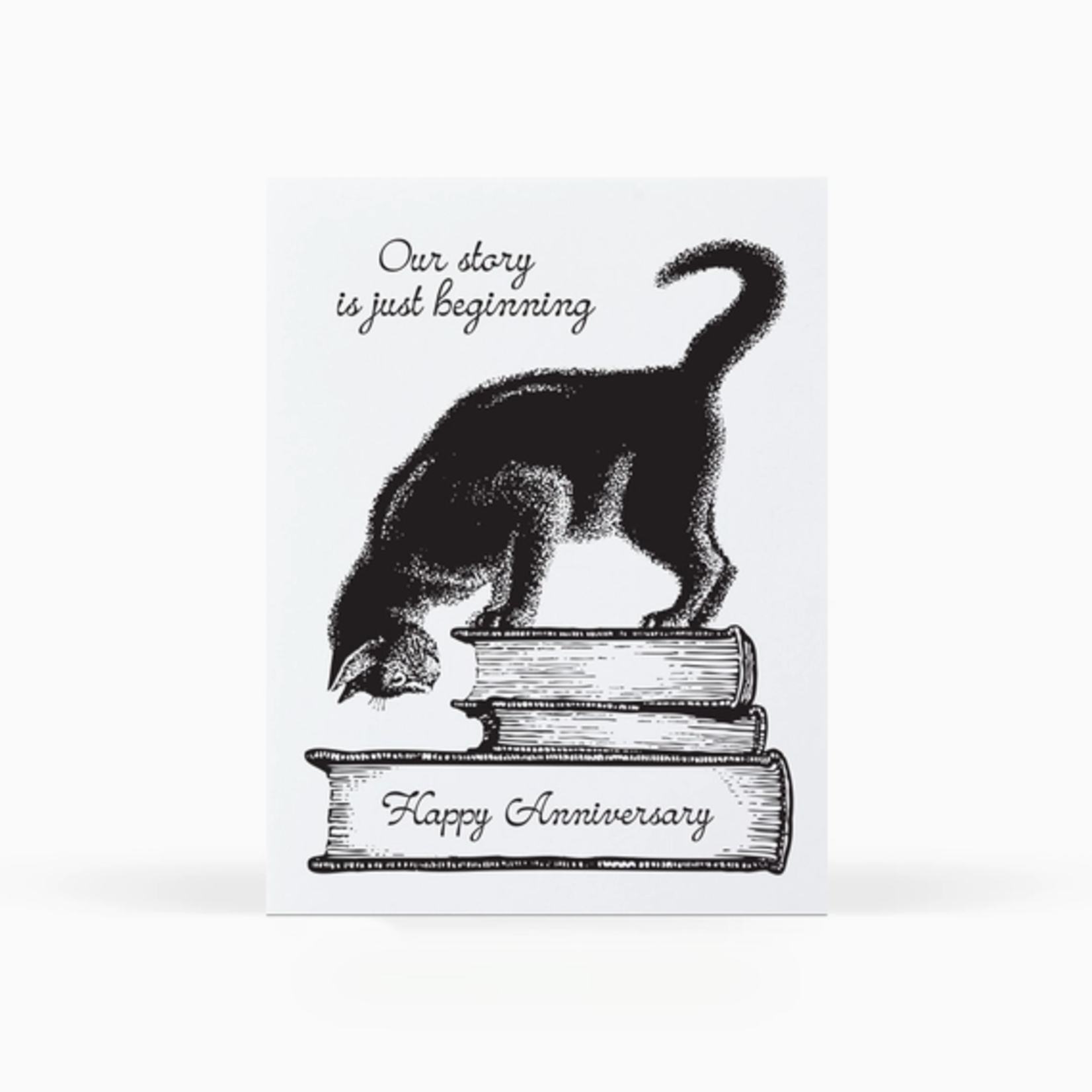 Greeting Cards - Anniversary Kitty On Books Anniversary