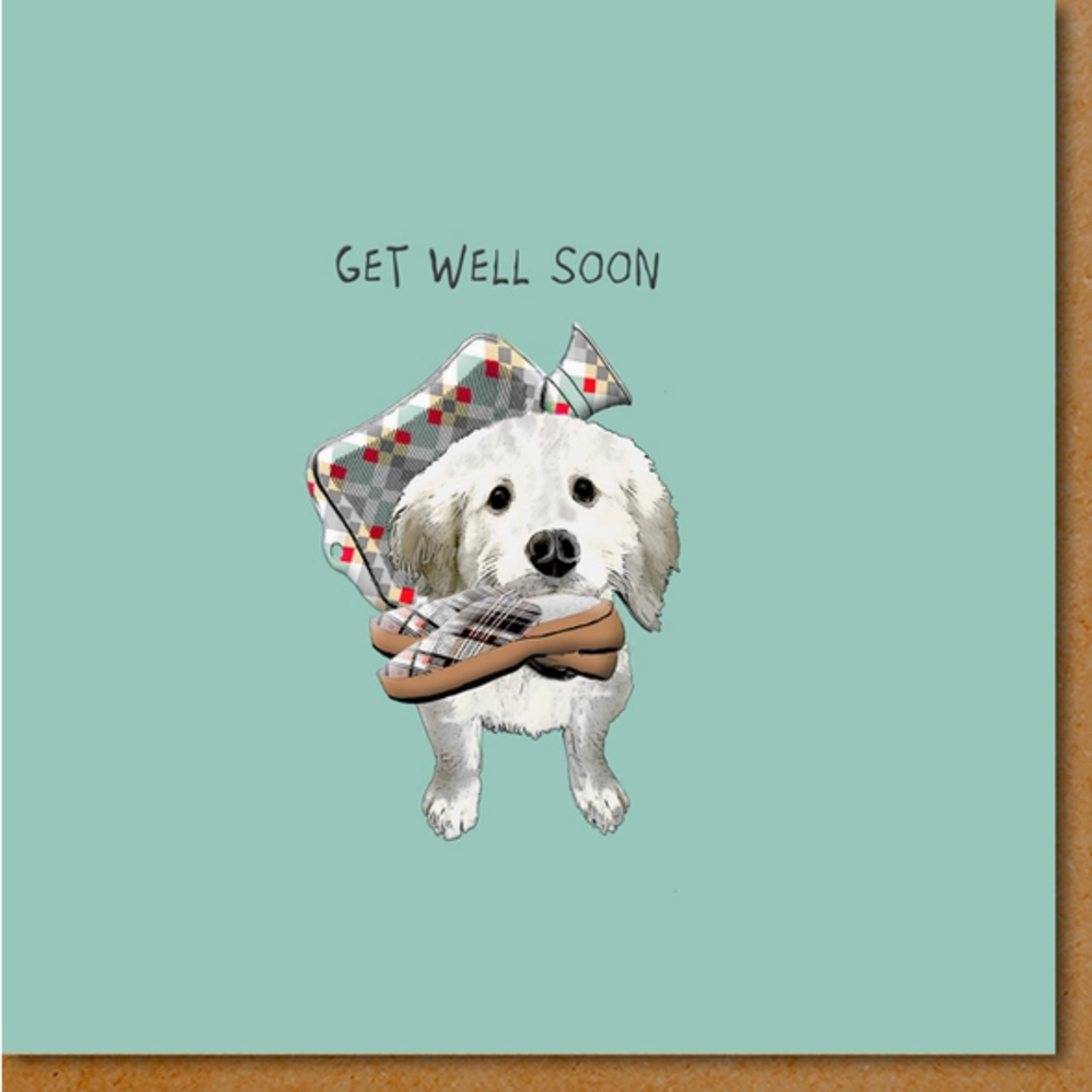 Greeting Cards - Feel Better Get Well Soon Dog & Slippers