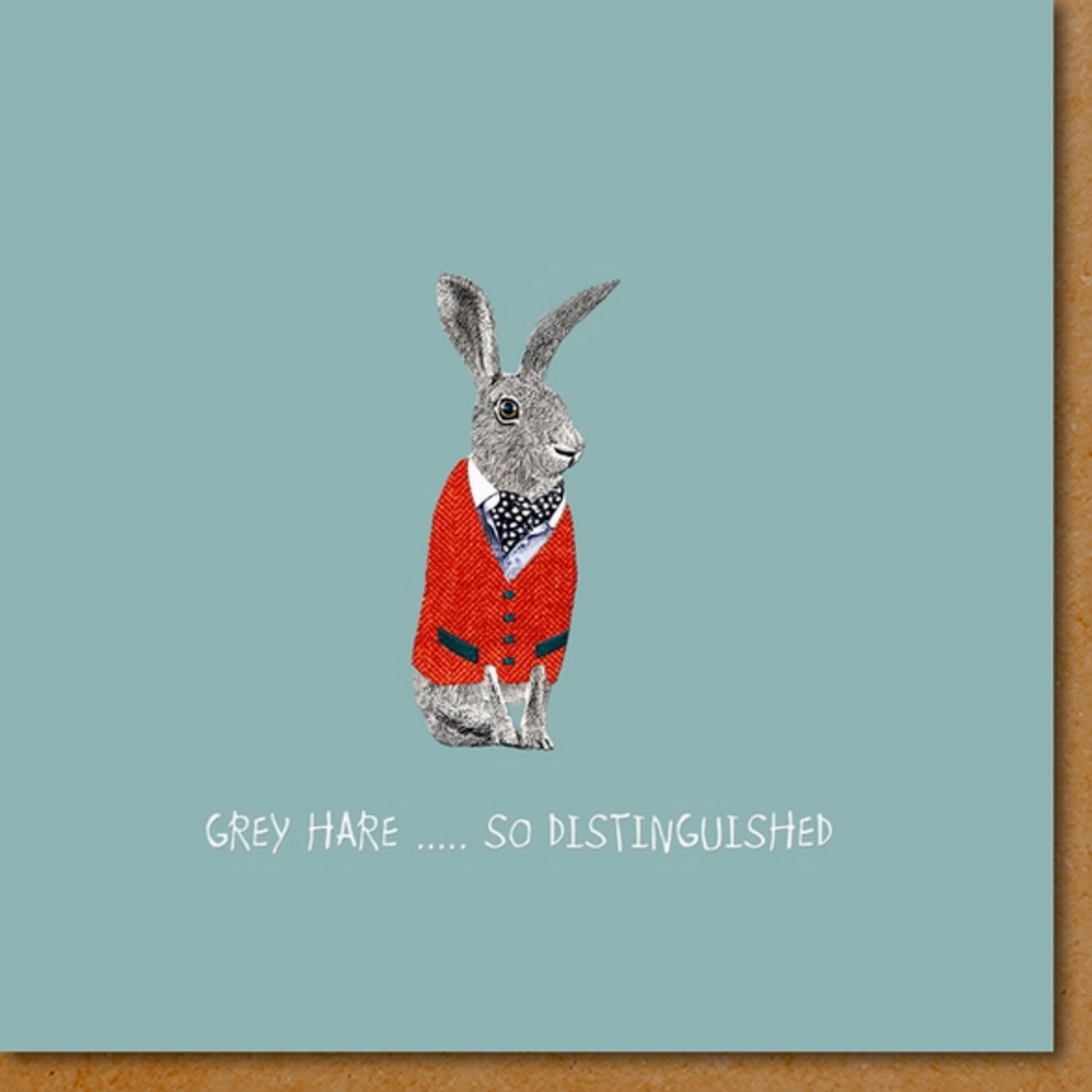 Greeting Cards - Birthday Grey Hare...So Distinguished Birthday