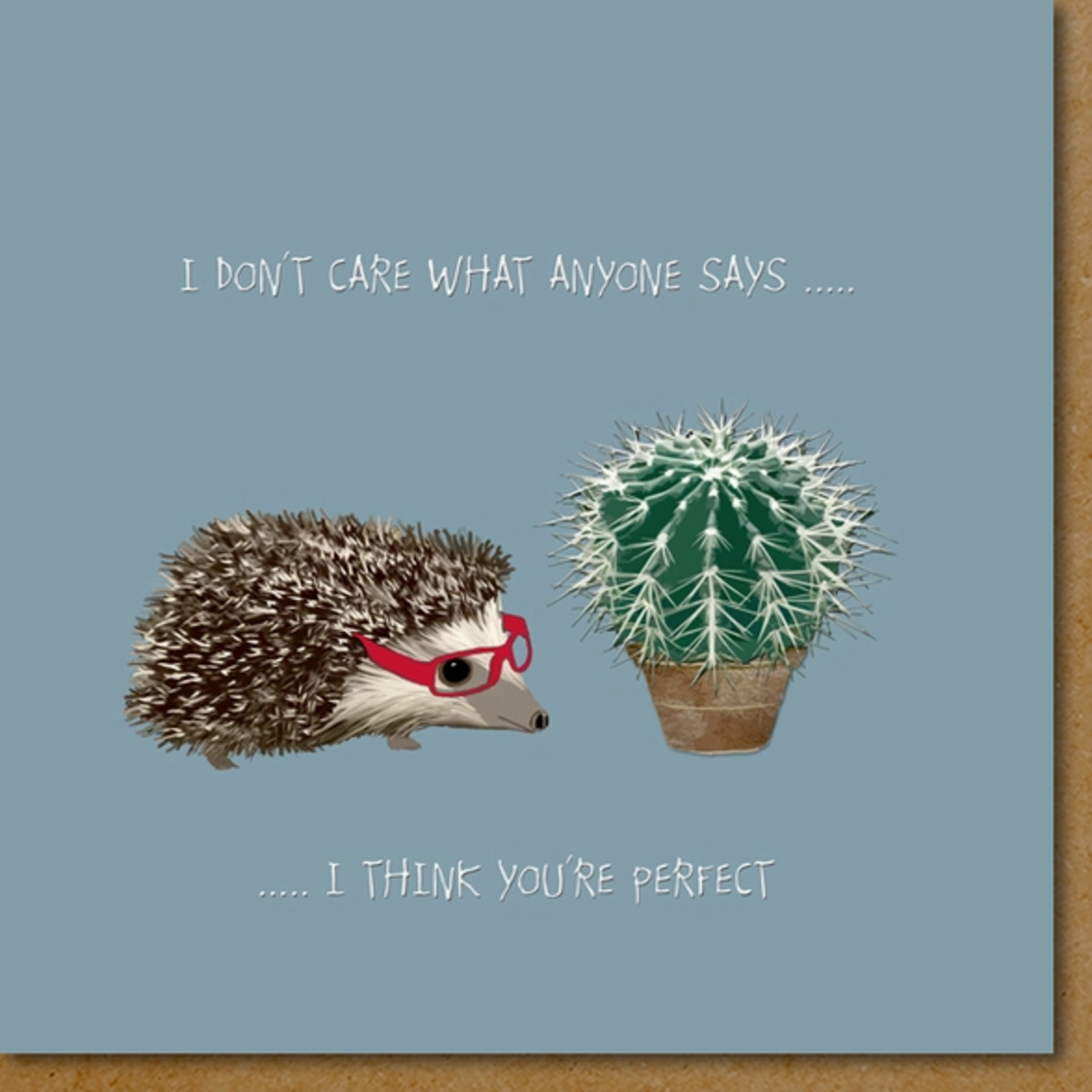 Greeting Cards - General Think You're Perfect Hedgehog