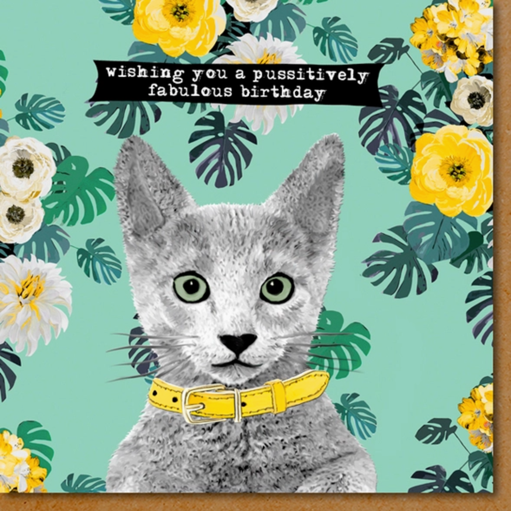 Greeting Cards - Birthday Pussitively Fabulous Birthday