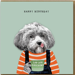 Greeting Cards - Birthday Lap Dog Souchong Birthday