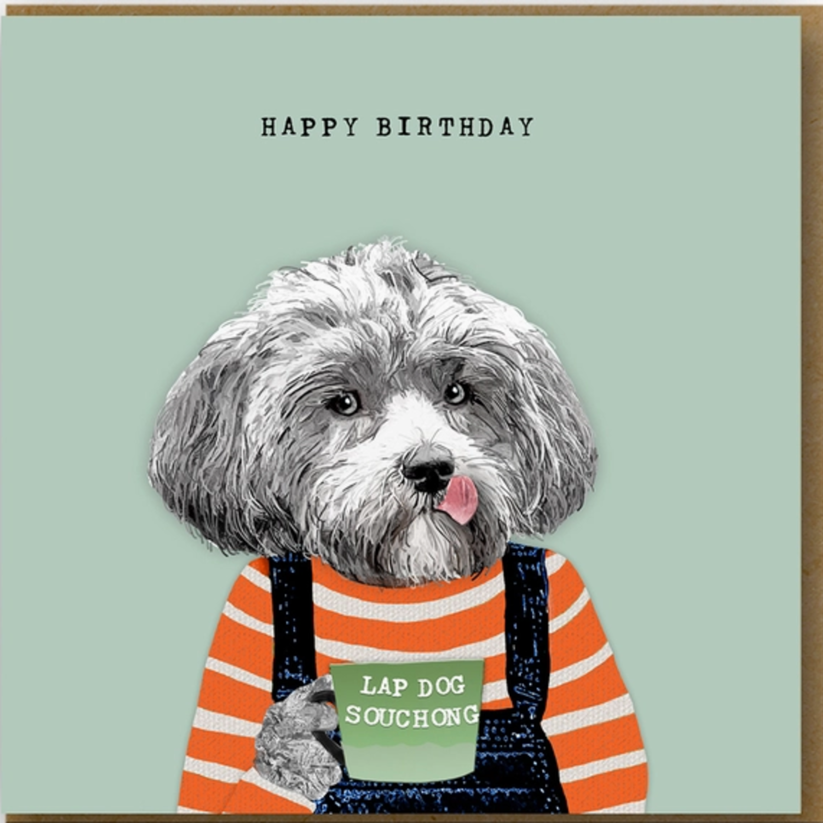 Greeting Cards - Birthday Lap Dog Souchong Birthday