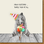 Greeting Cards - Birthday Bearly Aged Birthday