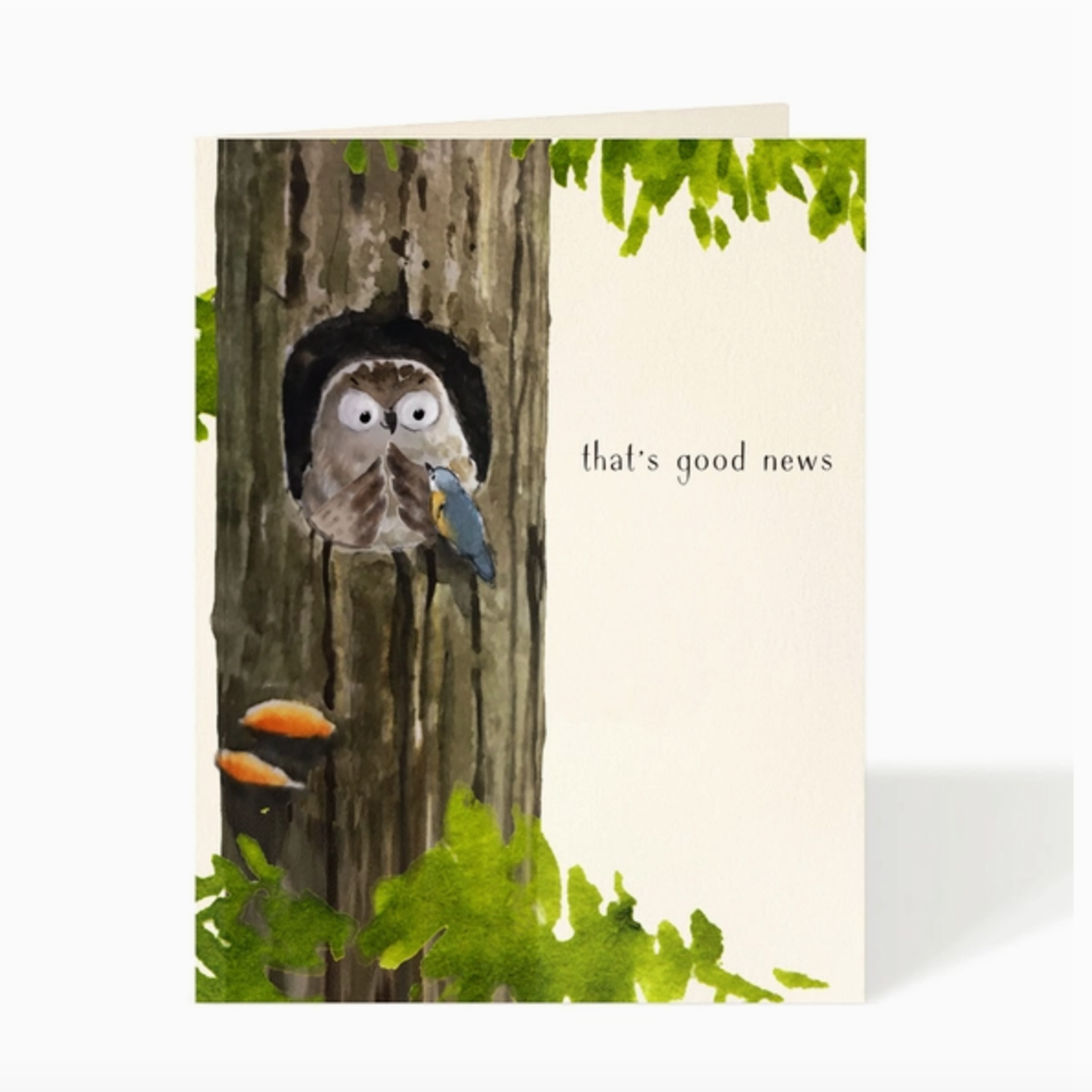 Greeting Cards - General Visitor That's Good News