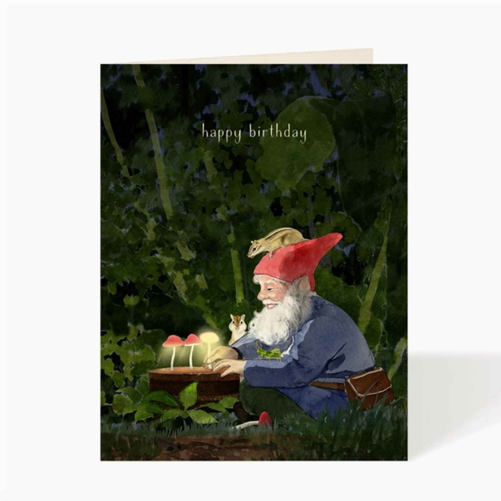 Greeting Cards - Birthday Birthday Gnome