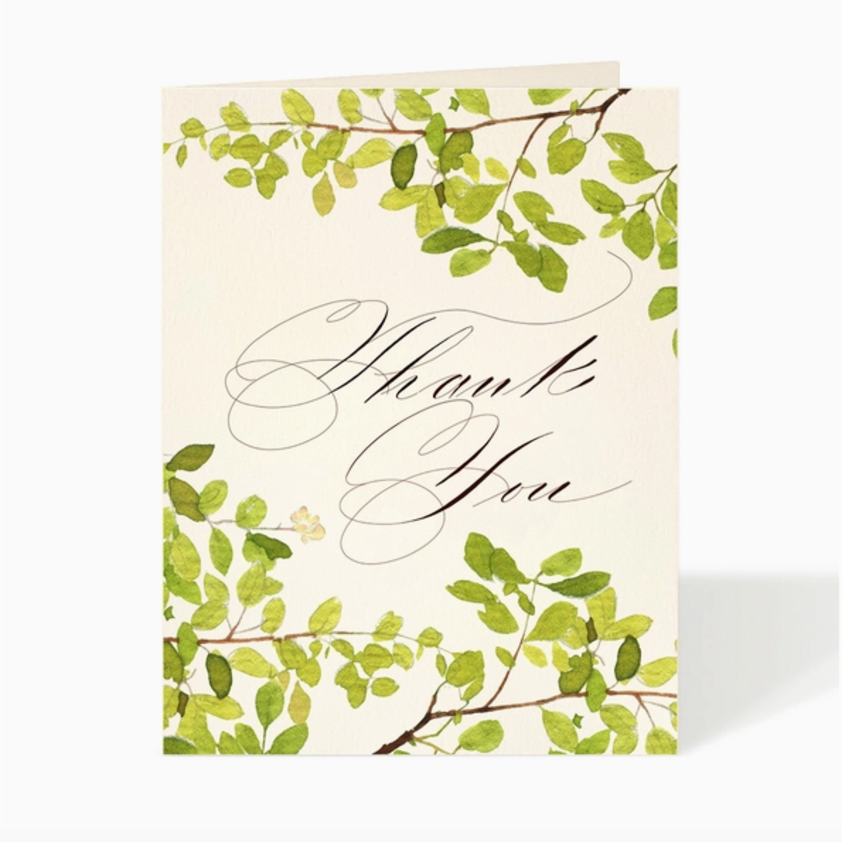 Greeting Cards - Thank You Scripted Thank You