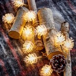 Lights Frosted Pinecone LED Light Set