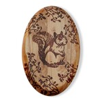 Plaques Squirrel Oval Wood Wall Plaque