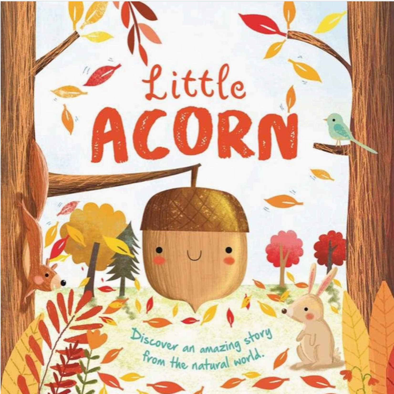 Books - Kids Nature Stories: Little Acorn