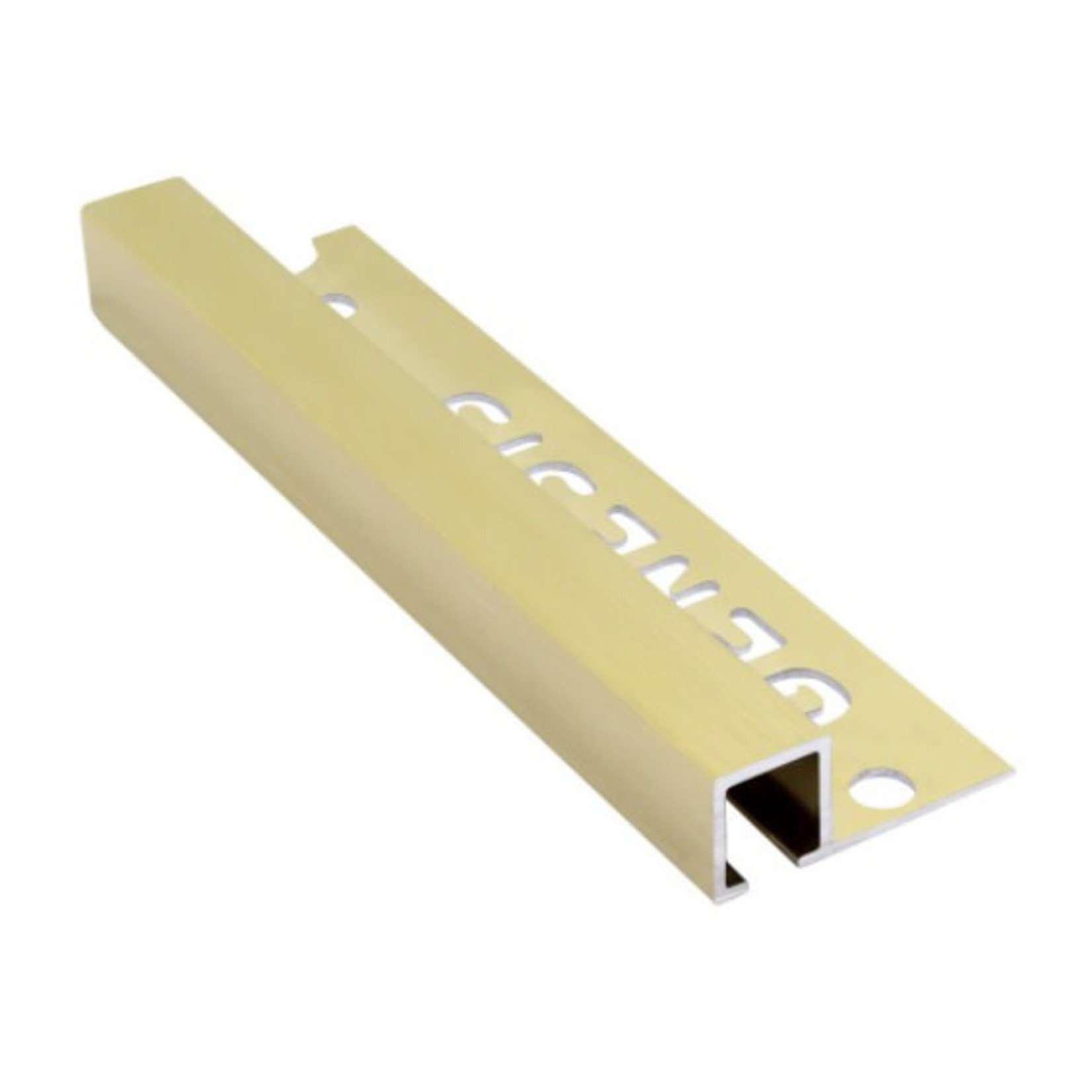 SBP-TRIM-TDP 100.90-BRUSHED BRASS