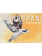 Stonemaier Games Wingspan Oceania Expansion (Enlgish)