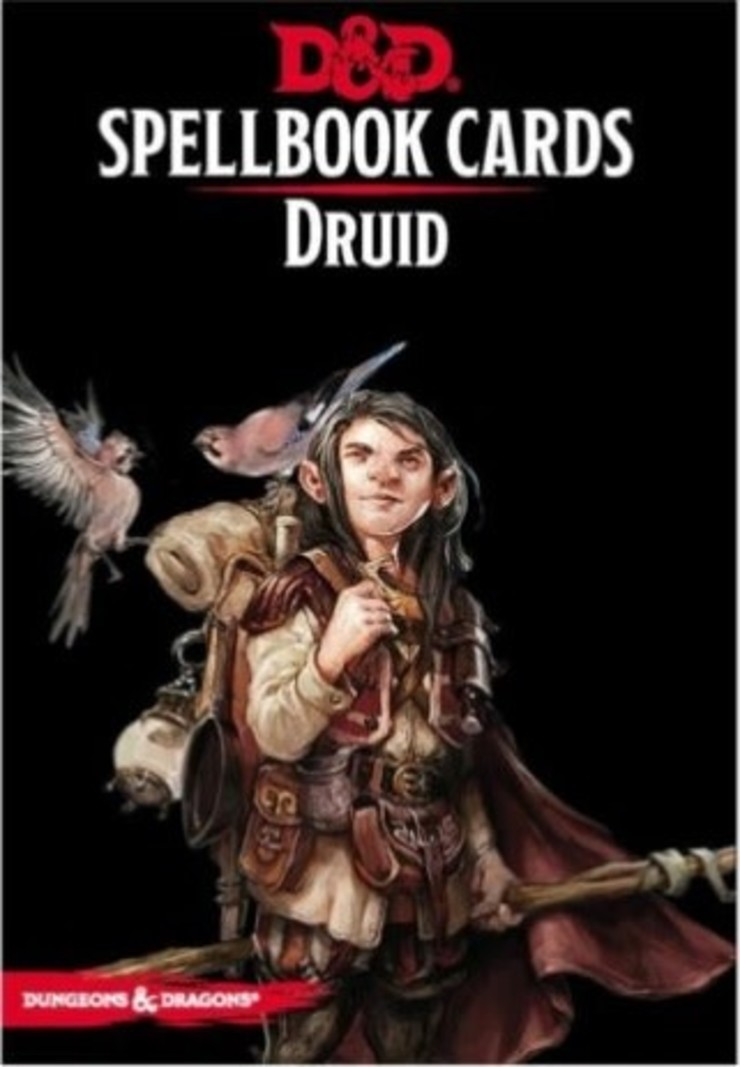 Wizard Of The Coast D&D Spellbook Cards Druide (French)