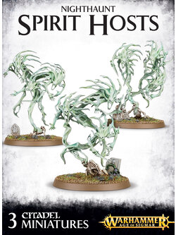 Age of Sigmar Nighthaunt - Spirit Hosts