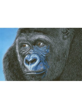 Diamond Dotz Diamond Dotz - Kibali Western Lowland Gorilla